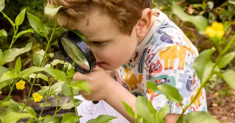 criança explorando a natureza e brincando com uma lupa nas plantas