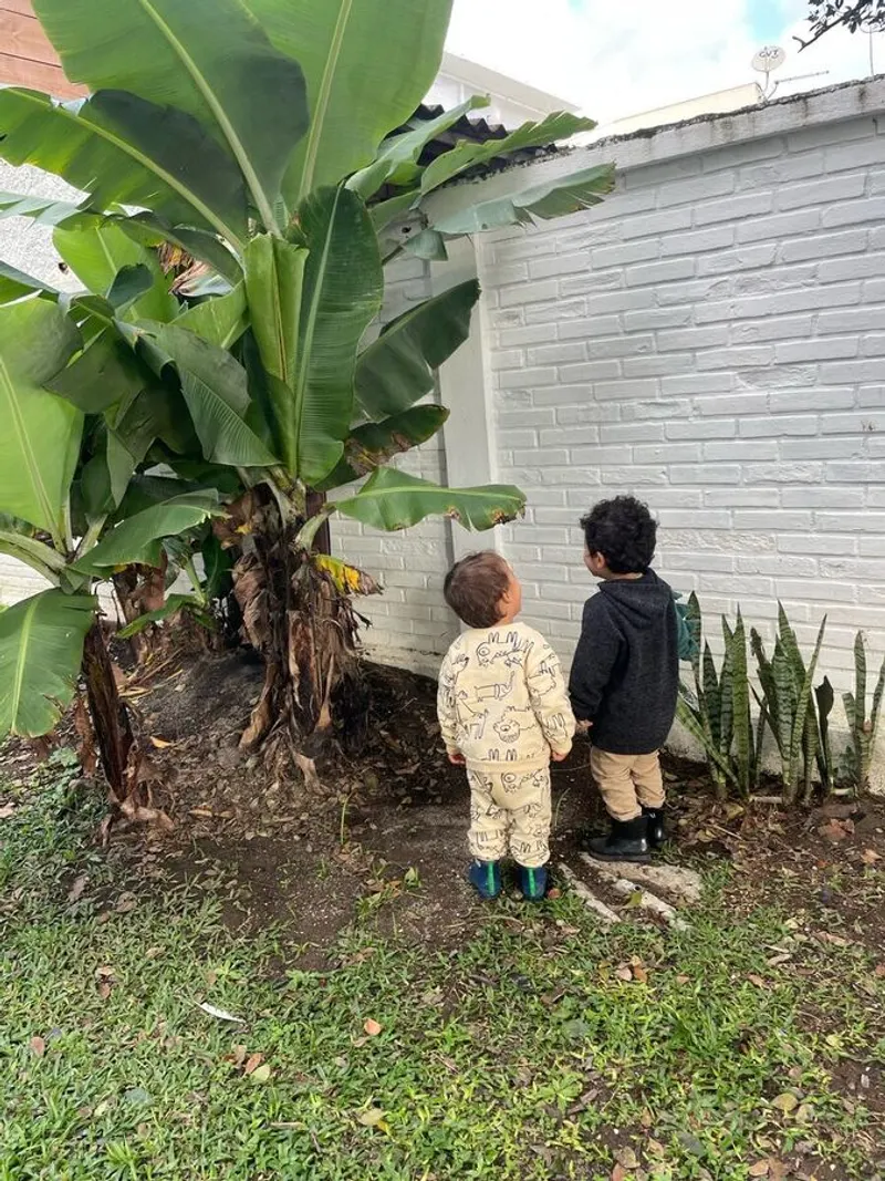 crianças explorando um jardim arborizado em Curitiba