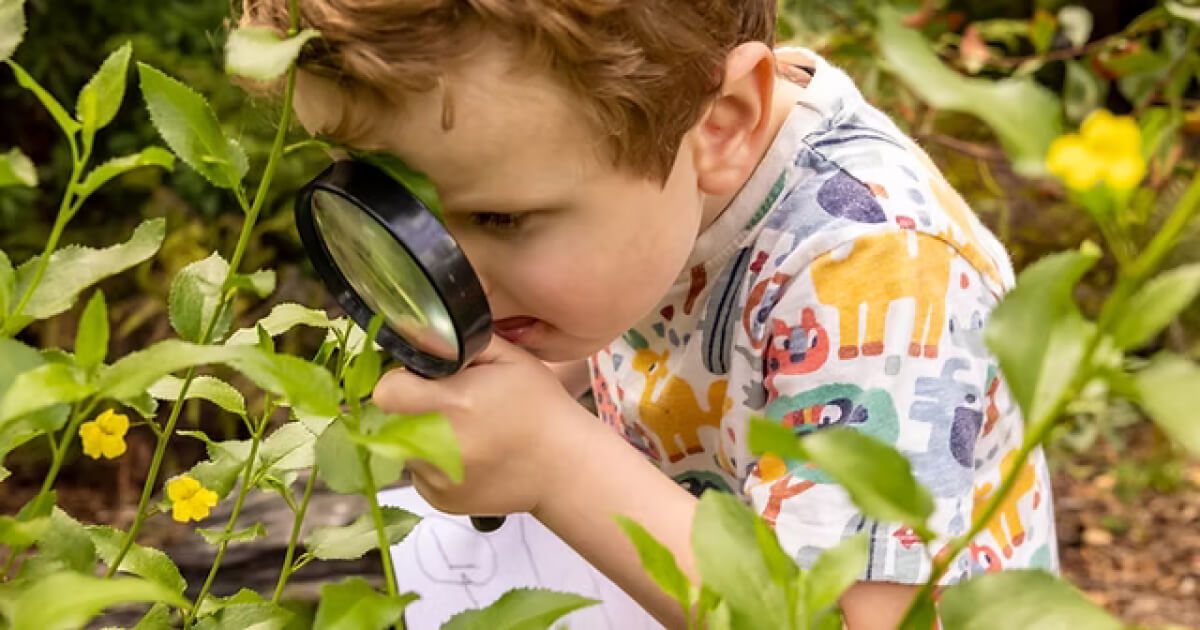criança explorando a natureza e brincando com uma lupa nas plantas